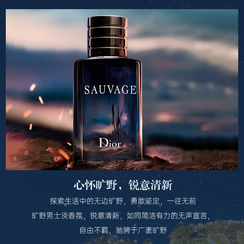 迪奥(Dior)旷野男士香水男持久留香生日礼物男送男朋友情人节礼物 旷野男士淡香水(100ml)