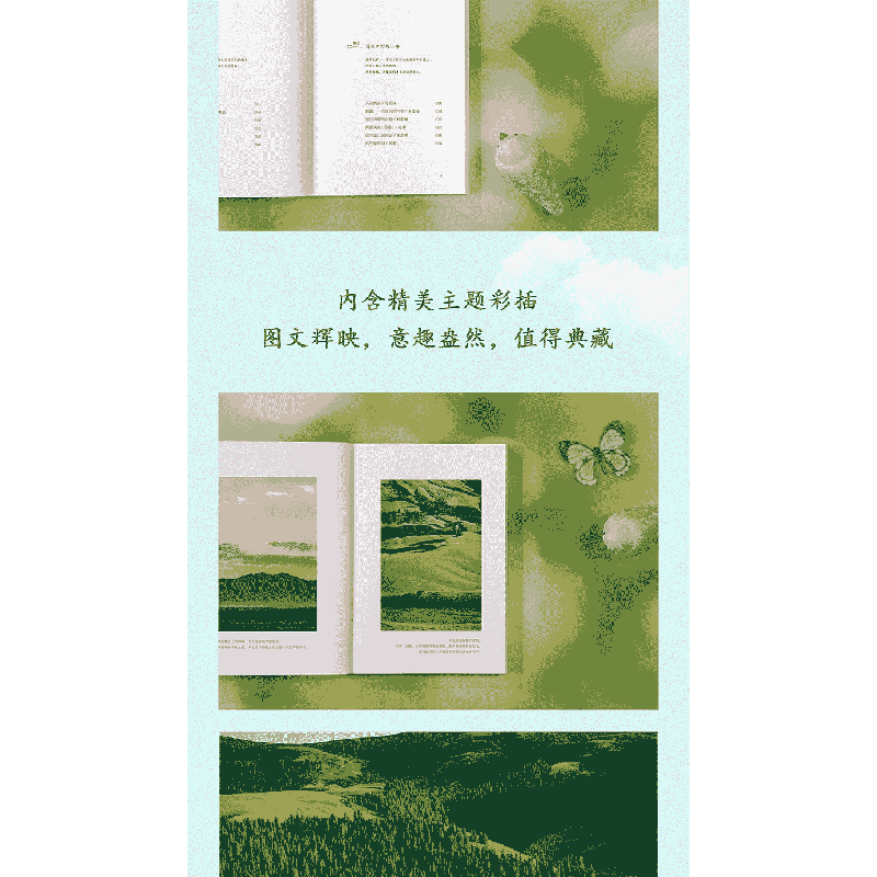 正版新书]史铁生:到明朗处去生活(华语文学大家写给生活的情书高清大图