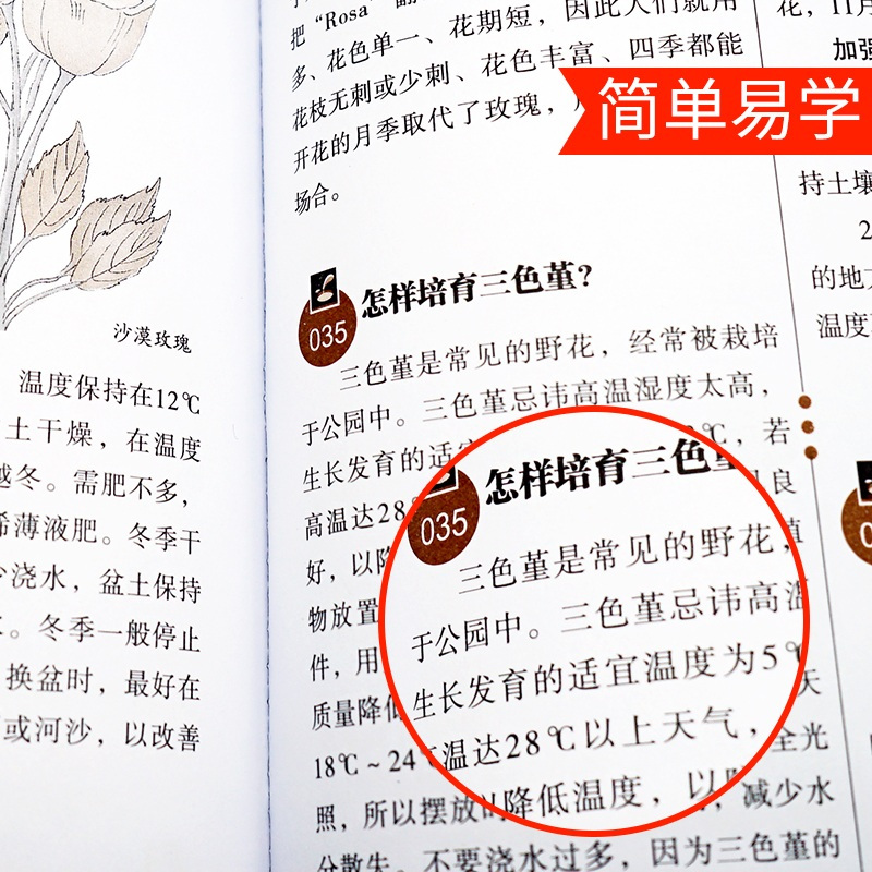 [醉染正版]全3册 图解养花常识一本通+阳台种菜+四季养花 以图解方法掌握家庭养花百科 手绘高清晰图片解决养花难题养花宝