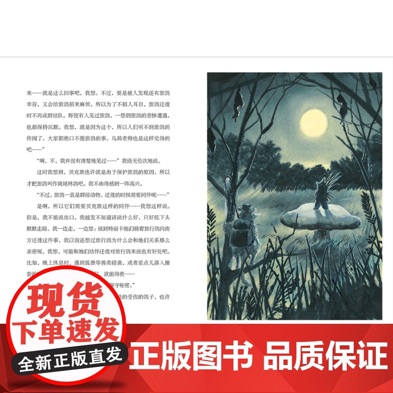 魔法象·雅比的深秋 梨木香步/著 小泽荣/绘 8~12岁 童话 想象 奇幻 儿童故事 广西师范大学出版社高清大图