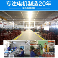 闪电客YL国标单相电动机0.550.751.11.52.23全铜马达220V单相电机 0.75KW2级-2800转抖音