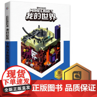 童趣 我的世界书下界与末地指南 正版儿童益智游戏书籍中小学生课外书中文版游戏手册攻略大全乐高游戏书籍漫画专注力训末