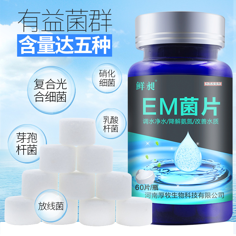 浓缩硝化菌片净化水质养鱼益生菌em菌鱼缸用品水族专用高清大图