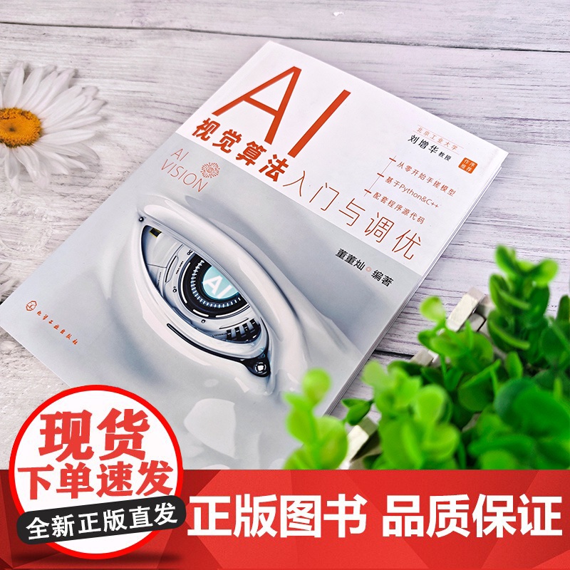 AI视觉算法入门与调优 计算机视觉模型调优 人工智能基础 计算机视觉基础 图像基础和编程基础相关知识 高等院校相关专业参高清大图