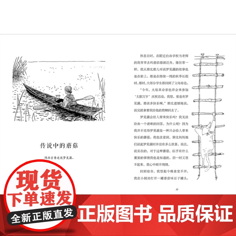 魔法象·雅比的深秋 梨木香步/著 小泽荣/绘 8~12岁 童话 想象 奇幻 儿童故事 广西师范大学出版社高清大图