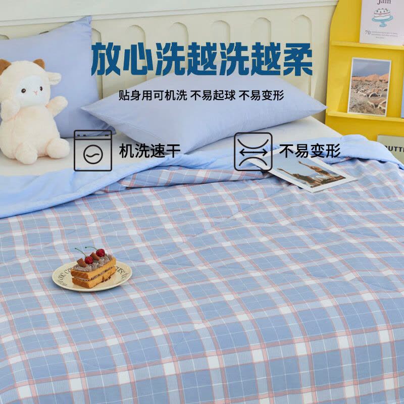 罗曼罗兰(ROMROL)春夏新款夏被 大豆水洗夏被 夏日清风 150*200CM图片