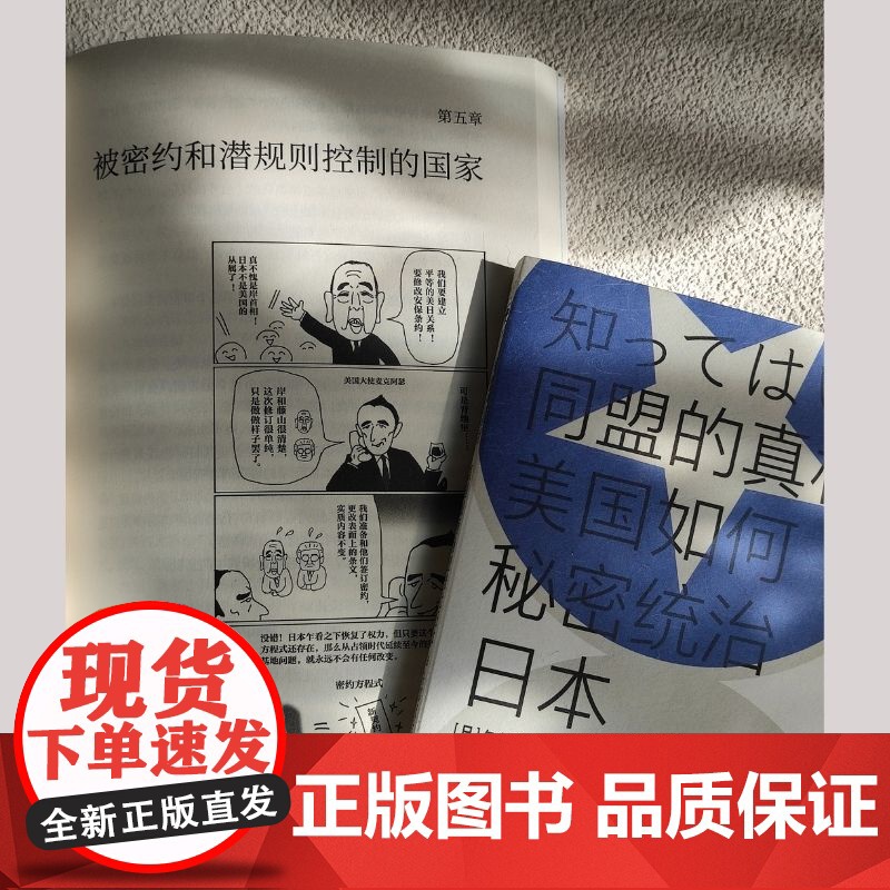 同盟的真相:美国如何秘密统治日本 矢部宏治/著 沙青青/译 漓江出版社 正版书籍高清大图