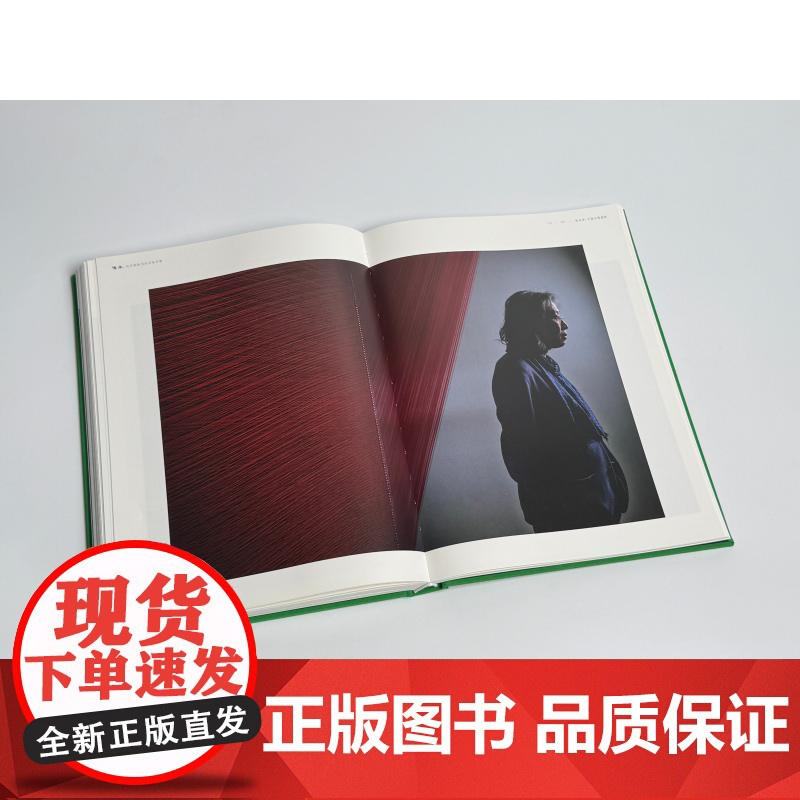 传承 当代海派书法名家肖像 陈昱燊著上海书画出版社书法理论图书高清大图