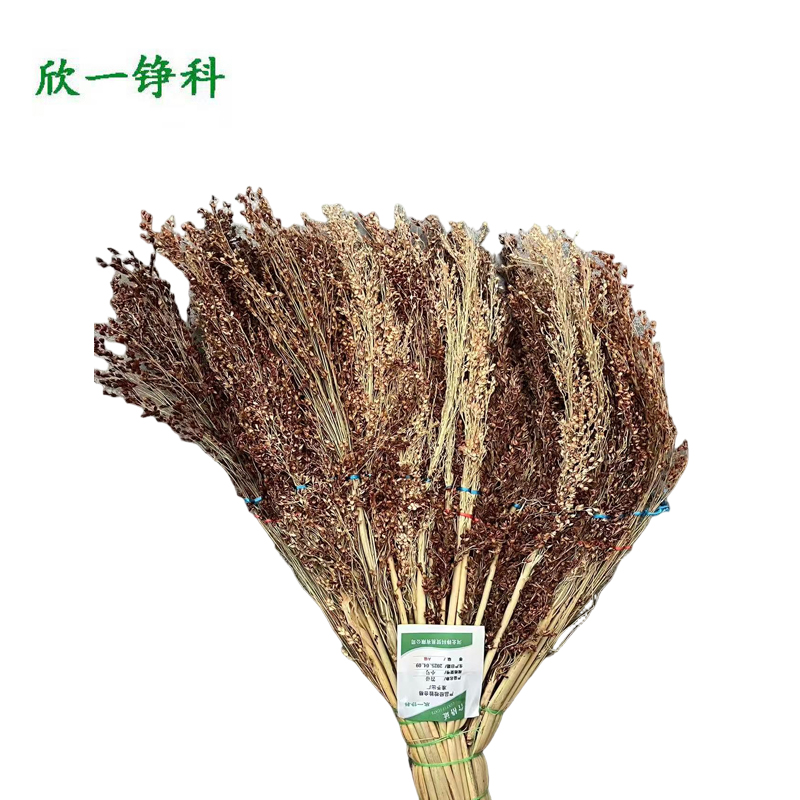 欣一铮科 笤帚 小号 把(小号)高清大图