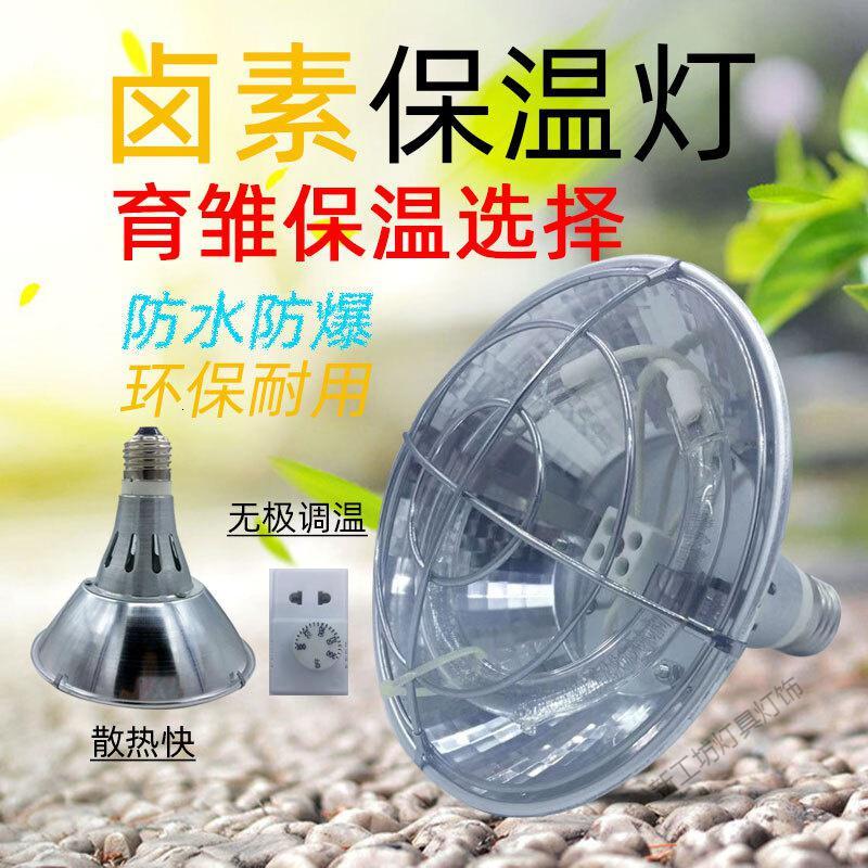 苏宁放心购 宠物保温灯育雏暖风灯小鸡狗狗控温取暖灯雏鸡育雏保温笼养殖设备
