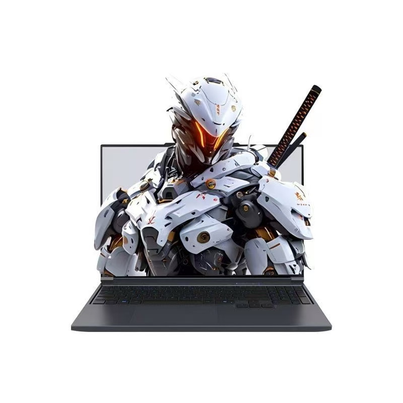 [政府补贴]机械革命(MECHREVO)极光X游戏本 U7-255HX 5070 32G+1T 云涧白 游戏本笔记本电脑高清大图