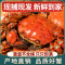 [活蟹]大闸蟹全母3.2两-3.5两 8只中秋礼盒 去绳足重精品活蟹河蟹鲜活苏州直发