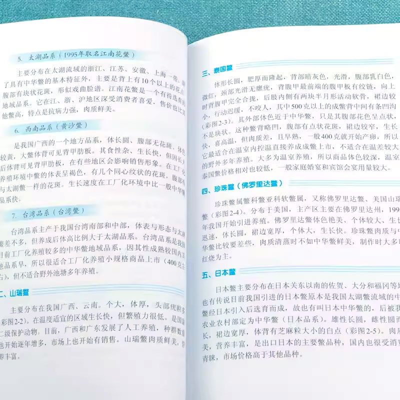 [正版]生态高效养鳖新技术 彭刚 化学工业出版社 鳖的生物学特性 养殖场的规划设计与建造 养殖池塘结构与建造甲鱼养殖饲高清大图