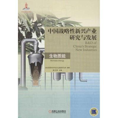 11中国战略性新兴产业研究与发展.生物质能978711141450622