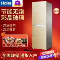 海尔(Haier)BCD-221WDGQ 冰箱双门无霜风冷 221升大容量家用电冰箱两门 金色节能彩晶玻璃 冰箱家用双门