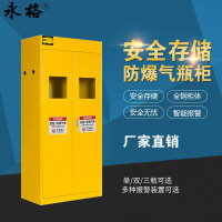 永格实验室工业防火防爆柜危化品化学品储存柜毒麻柜全钢气瓶柜双瓶