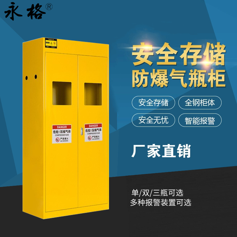 永格实验室工业防火防爆柜危化品化学品储存柜毒麻柜全钢气瓶柜双瓶