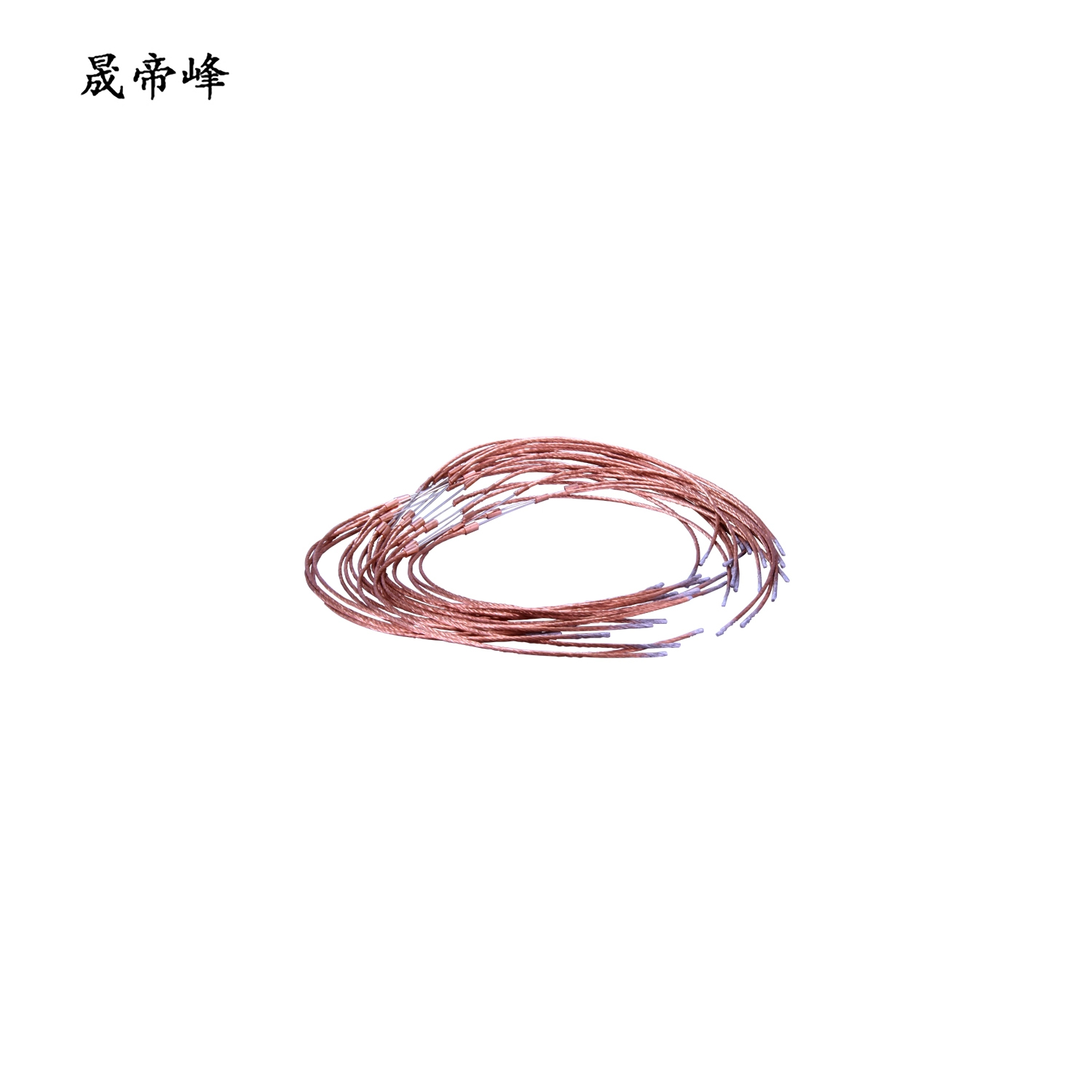 晟帝峰 熔丝 10-5A 根高清大图