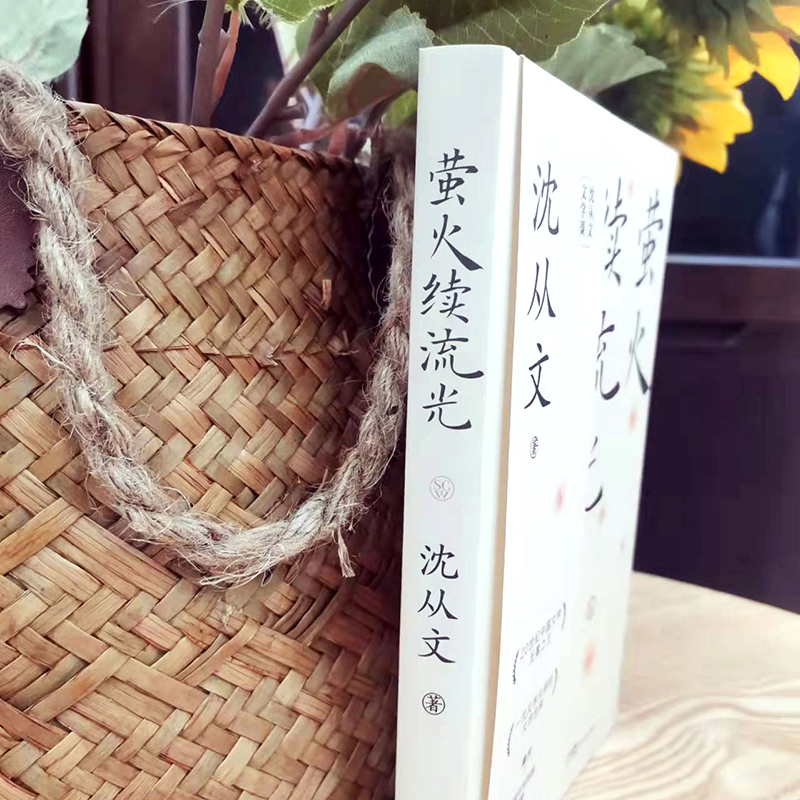 醉染图书萤火续流光9787536095588高清大图