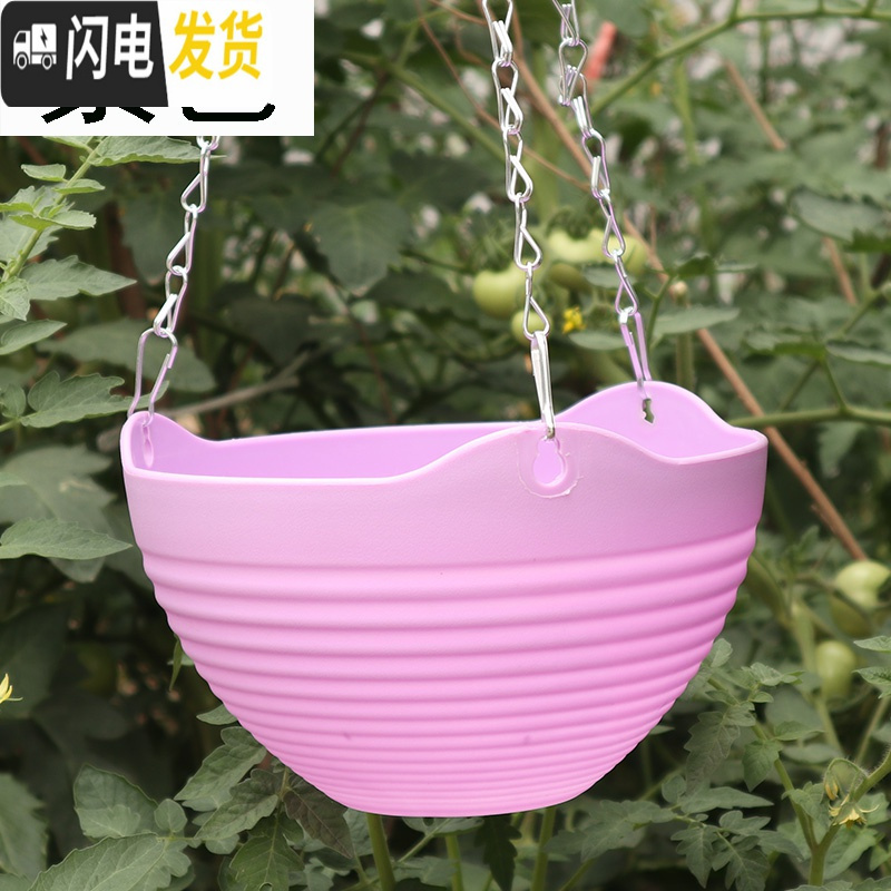 三维工匠吊兰花盆组合套餐大号绿萝挂盆送挂钩垂吊悬挂式塑料树脂吊篮花盆 紫色6个[送配件] 小号(口径20cm)花盆容器高清大图