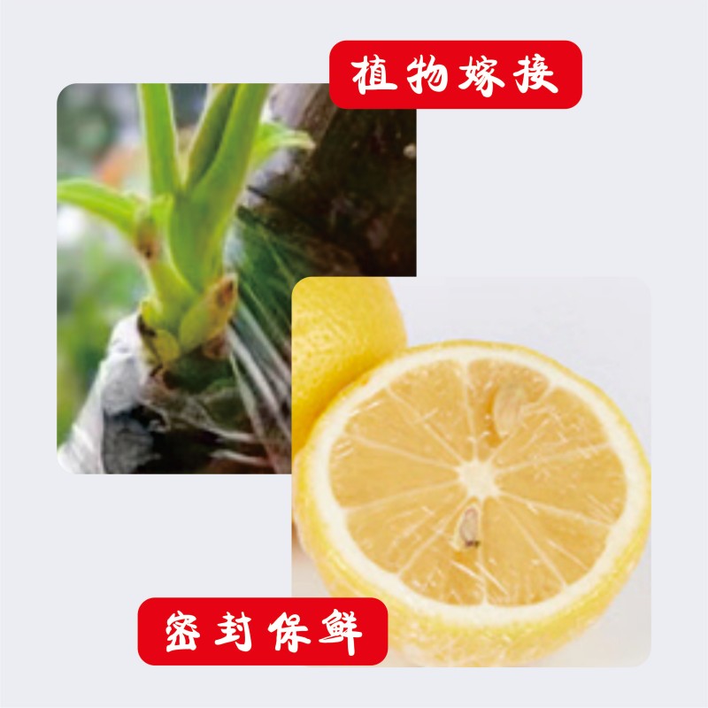 烹巅Poondear PE保鲜膜 40cm 多功能收纳保鲜 打包密封高清大图