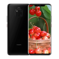 华为(HUAWEI) Mate20 Pro (UD) 屏内指纹版 全网通 8GB+128GB 亮黑色 移动联通电信4G手机 麒麟980 华为mate20pro