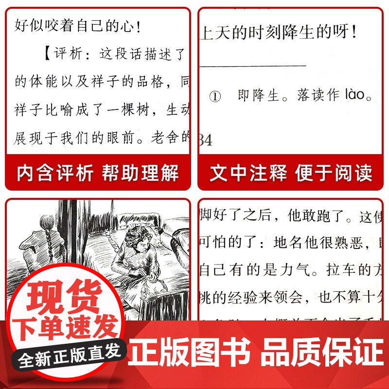 带评析全套15册鲁迅全集正版经典呐喊朝花夕拾野草故乡狂人日记老舍四世同堂骆驼祥子茶馆鲁迅作品集散文杂高清大图