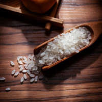北纯 小町米 5kg