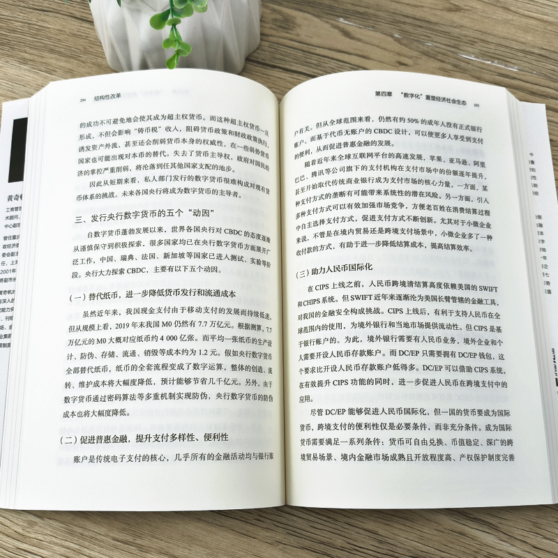 [正版]结构性改革 黄奇帆 中国经济的问题与对策 战略与路径分析与思考作者 黄奇帆的复旦经济课 出版社书籍高清大图