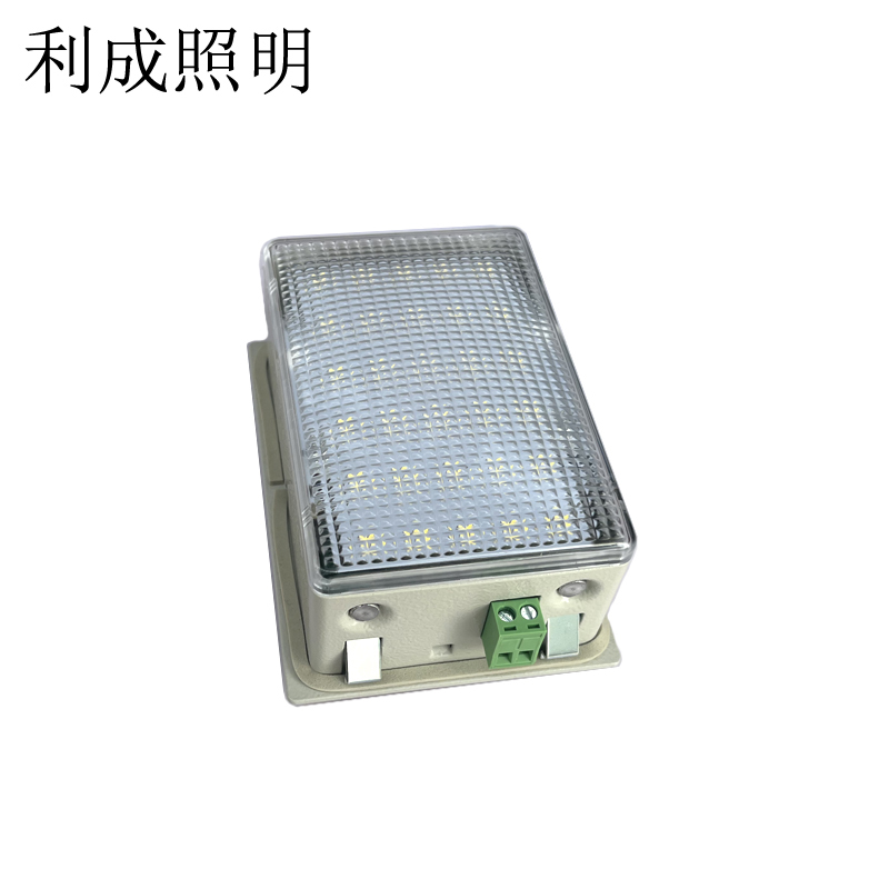 利成照明 照明灯 LC-20-W高清大图