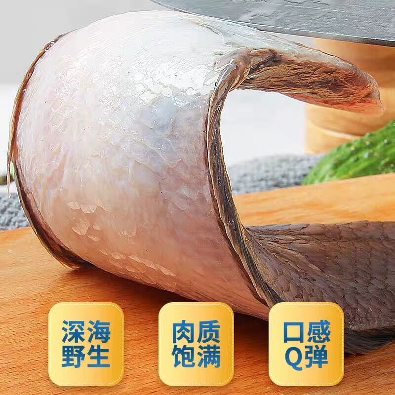 [国产]沈志雄船长 东山岛海鲜 新鲜舌头鱼 正宗龙利鱼 踏板鱼海鲜水产 鲜活冷冻海鱼 450g-500g