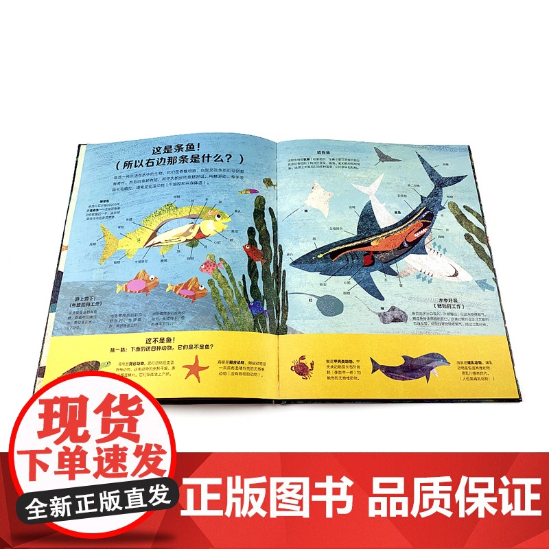 无处不在的鱼 艺术气息浓厚的纸上水族馆, 大奖获奖插画家创作的趣味鱼类小百科6-9岁高清大图