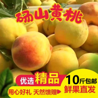 砀山19黄桃可做罐头的黄桃净重9斤桃子新鲜当季蜜桃 酸甜多汁 桃气香浓 送礼公司福利采购