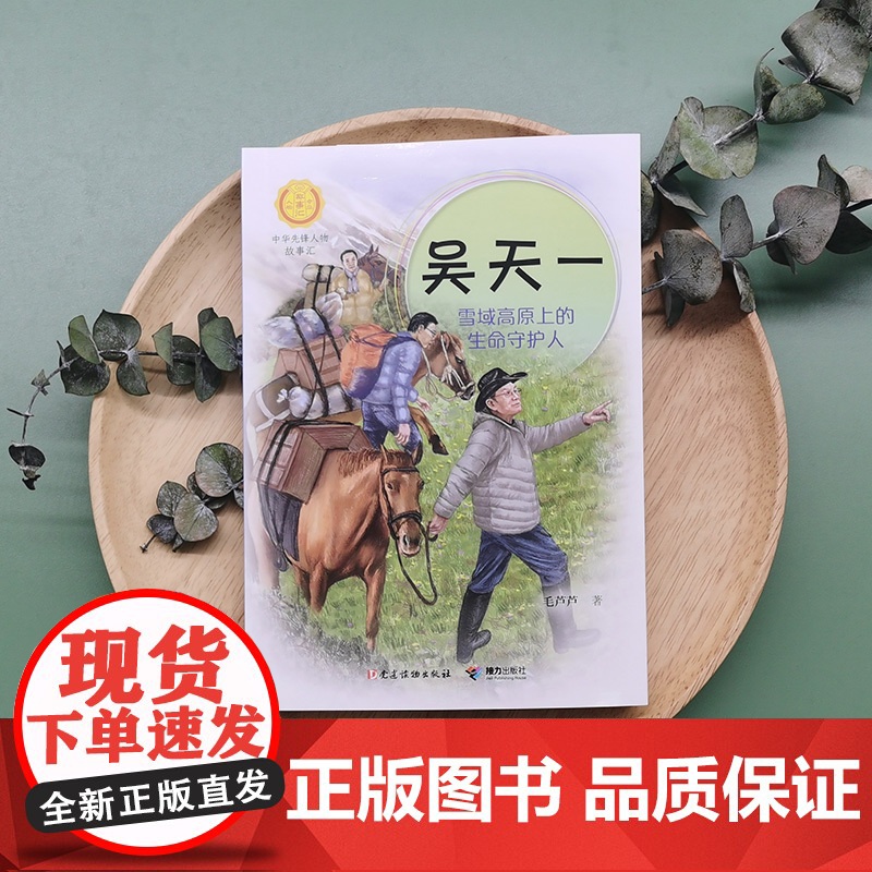 正版 吴天一 雪域高原上的生命守护人 记录中华先锋人物故事汇 毛芦芦著 儿童文学书籍 6-10岁励志美文故事小学生课高清大图