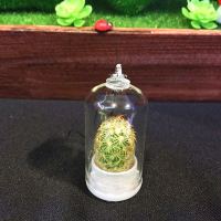 迷你创意仙人球多肉植物汽车小挂件钥匙扣手机链生日礼物情侣挂件 金手指小