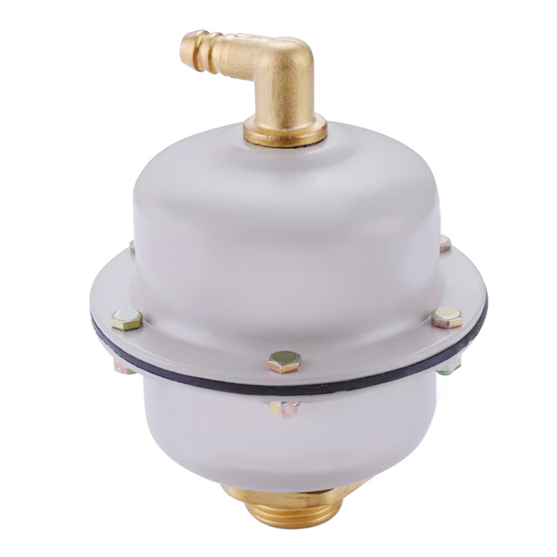 冰城同祥 立式排气阀 DN25 台高清大图