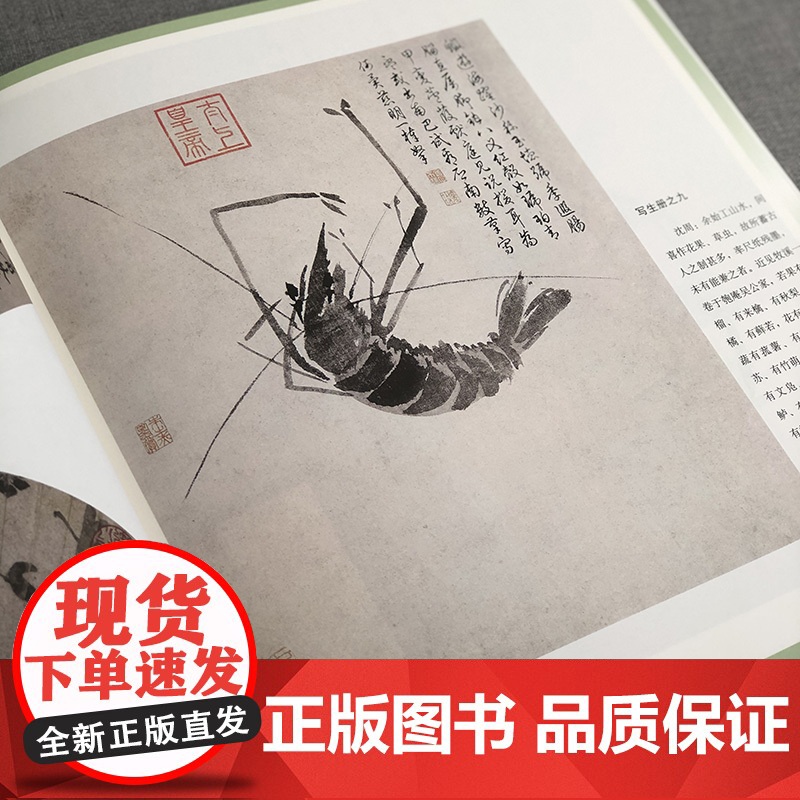 沈周花鸟山水画谱 新版 名家课徒稿临本 沈周中国水墨花鸟花卉动物山水画集作品集 吴中山水图册 上海人民美术出版社高清大图