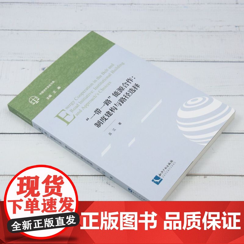 “一带一路”能源合作:制度建构与路径选择高清大图