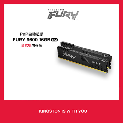 金士顿(Kingston)Fury Beast DDR4 3600 16GB(8G×2)套装 台式机内存条 骇客神条
