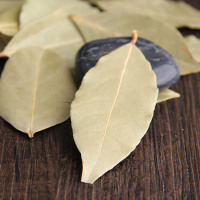 富昌 香叶 月桂叶20g 厨房调料调味料 香辛料 佐料炖肉料