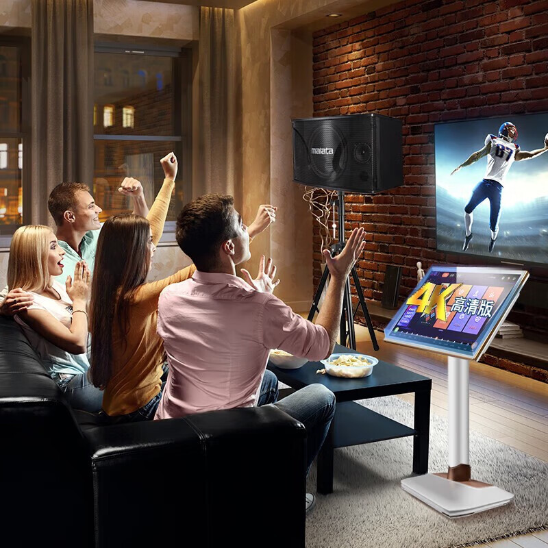 家庭影院ktv音响套装唱歌卡拉ok无线蓝牙功放卡包音箱组合全套设备