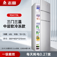 志高BCD-90A170L闪亮银