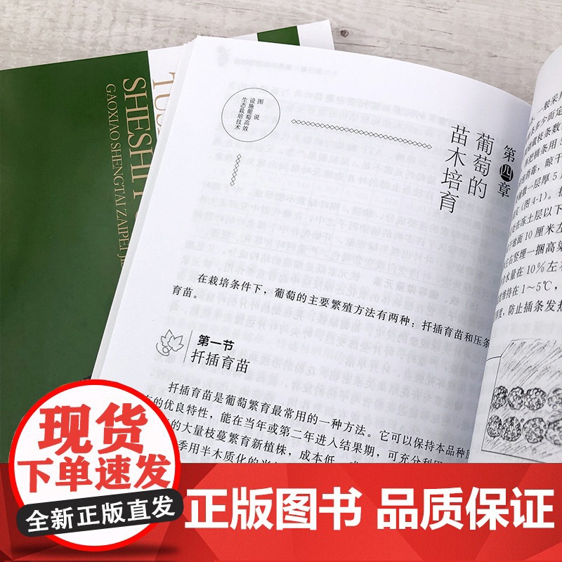 图说设施葡萄高效生态栽培技术 王志鹏 化学工业出版社 正版书籍高清大图