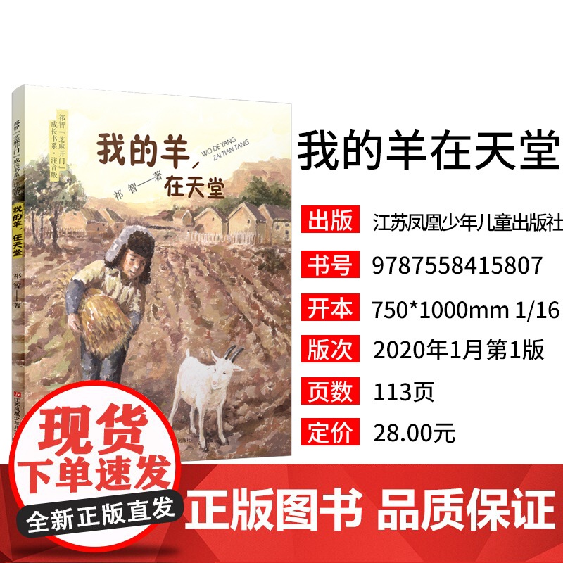 我的羊,在天堂/祁智芝麻开门成长书系(注音版)展现乡村童年的纯良与艰辛,困境中的希望与理想之光高清大图