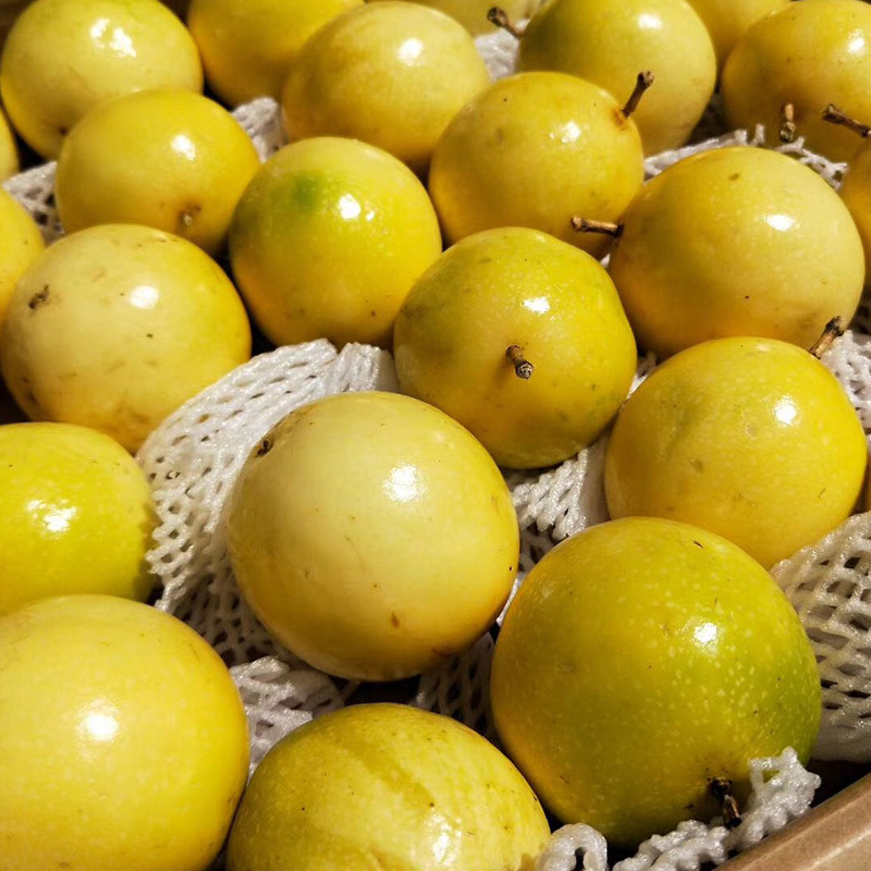 允景洪旗舰黄金百香果南香源黄金龙涎香5斤特大果单果约75100g2536个