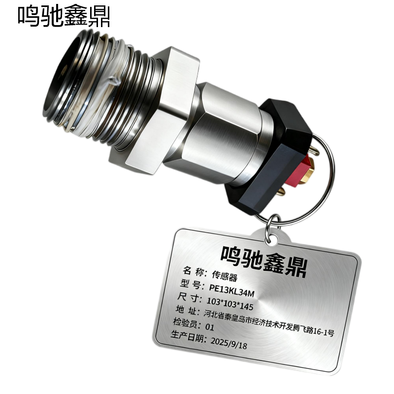 鸣驰鑫鼎 传感器 PE13KL34M 个高清大图