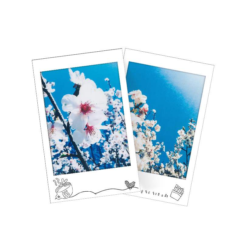 富士(FUJIFILM)INSTAX 拍立得相纸 mini花边胶片 生活填色(10张)