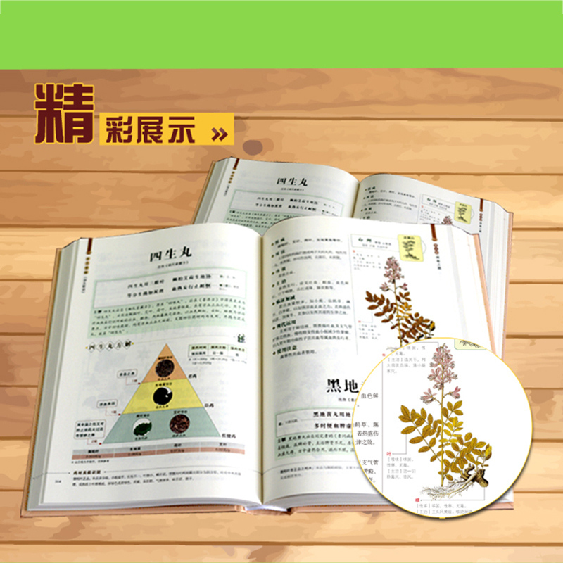 [醉染正版]汤头歌诀白话全解全彩珍藏版 精装图文全解中医基础理论中药养生古代经典中医学书籍药剂学中医药方人生修养延年