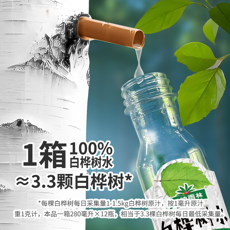版纳雨林白桦树水280ml*12瓶装|100%兴安岭桦树水|天然原汁|纯净润华|保留桦树汁中的天然钾、钙、锌、桦木醇高清大图
