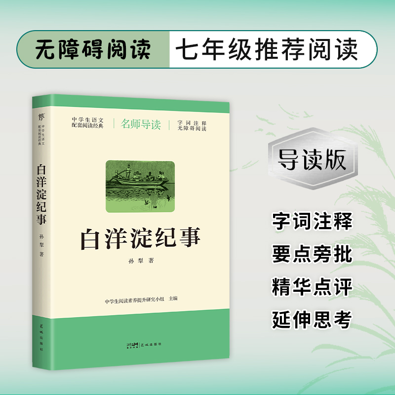 [N]白洋淀纪事-9787536095847高清大图